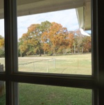 back door